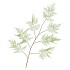 SILK FERN ASPARAGUS LIGHT GREEN 138CM