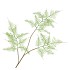 SILK FERN ASPARAGUS LIGHT GREEN 87CM
