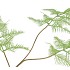 SILK FERN ASPARAGUS LIGHT GREEN 87CM