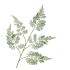 SILK FERN FOREST GREEN 107CM NM