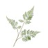 SILK FERN FOREST GREEN 87CM
