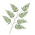 SILK FERN DAUALLIA GREEN 138CM