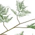 SILK FERN ASPARAGUS DARK GREEN 107CM