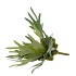 SILK FERN STAGHORN GREEN 36CM