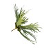 SILK FERN STAGHORN GREEN 51CM