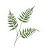 SILK FERN DAUALLIA GREEN 87CM