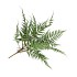 SILK FERN DAUALLIA PLANT GREEN 87CM