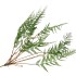 SILK FERN CIBOTIUM GREEN 133CM