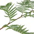 SILK FERN POLYSTICHUM GREEN 138CM