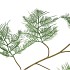 SILK FERN ASPARAGUS DARK GREEN 138CM