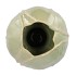 TULIP PISTACHE VASE TULIP 17X17X32CM NM