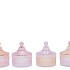 BICOLORE DREAMY PASTEL MIX JARS ASS 11X13CM NM