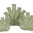 AGLIO PISTACHE VASE OVAL 25X11X24CM