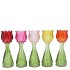 BICOLORE MULTI COLOR MIX TULIP VASE ASS 7X18CM