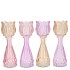 BICOLORE DREAMY PASTEL MIX TULIP VASE ASS 7X18CM