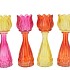 BICOLORE DUTCH ORANGE MIX TULIP VASE ASS 7X22CM