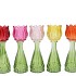 BICOLORE MULTI COLOR MIX TULIP VASE ASS 7X22CM