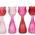 BICOLORE DUTCH PINK MIX TULIP VASE ASS 7X22CM