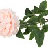 SILK PEONY SOFT PINK 68CM NM