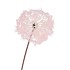 SILK DANDELION PINK 91CM