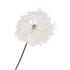 SILK DANDELION WHITE 91CM