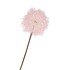 SILK DANDELION PINK 65CM NM