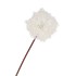 SILK DANDELION WHITE 65CM