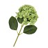 SILK HYDRANGEA GREEN 23X64CM