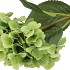 SILK HYDRANGEA GREEN 23X64CM