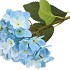 SILK HYDRANGEA BLUE 14X45CM