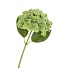 SILK HYDRANGEA GREEN 14X45CM