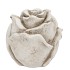CONCRETE ANTIQUE ROSE 13X13X13CM