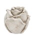 CONCRETE ANTIQUE ROSE 11X11X11CM