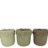 GIGI SUMMER GREEN MIX FLOWER POT ASS 20X20X17CM