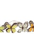 PICK SPRING YELLOW ORANGE MIX BUTTERFLIES ASS P/24 50X9CM