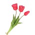SILK TULIP BOUQUET DARK PINK 26X47CM NM