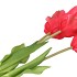 SILK TULIP BOUQUET DARK PINK 26X47CM