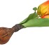 SILK TULIP BULB ORANGE 25CM