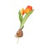 SILK TULIP BULB DARK ORANGE 25CM