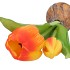 SILK TULIP BULB DARK ORANGE 25CM