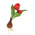 SILK TULIP BULB RED 25CM NM