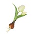 SILK TULIP BULB WHITE 25CM