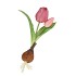 SILK TULIP BULB PURPLE 25CM