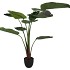 SILK STRELITZIA GREEN 185CM
