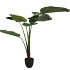 SILK STRELITZIA GREEN 159CM