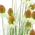 SILK COSMOS GRASS GREEN 150CM