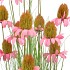 SILK COSMOS GRASS PINK 150CM