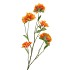 SILK AZALEA ORANGE 110CM