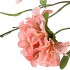 SILK AZALEA PEACH 110CM