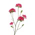 SILK AZALEA PINK 110CM
